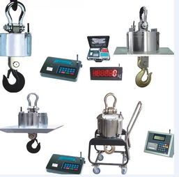 精準(zhǔn)高效，源頭保障——3噸行車電子鉤頭秤廠家直銷，打造可靠工業(yè)稱重解決方案